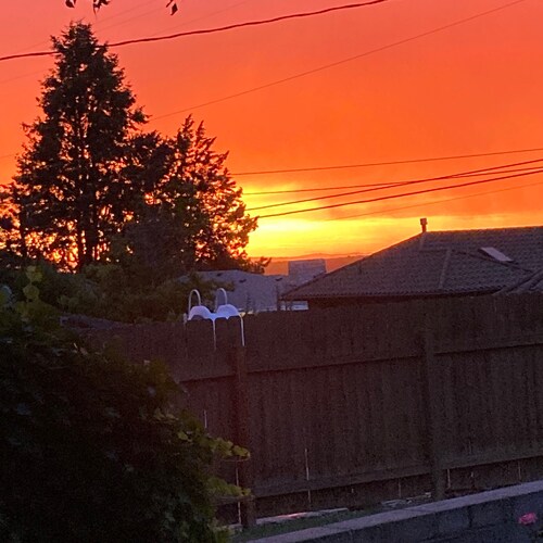 Visit BertMcD's profile on GETTR. View their posts, photos, videos, and connect with them on the social platform.