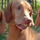 AMERICA LOVING PATRIOT, WHO STAYS CLEAR OF DOWNER PEOPLE