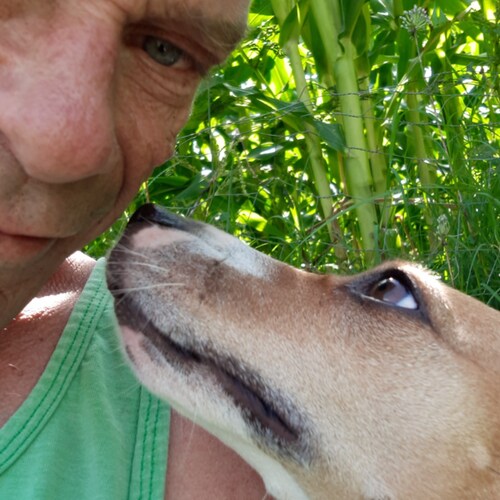 Trump is my president! Biden/Harris are frauds. Strong Tennessee conservative. @BacktheBlue #Maga 4Eva!!