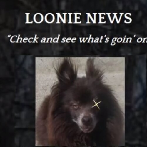 The world is far to big to be viewed through a few portholes.  We offer you another.