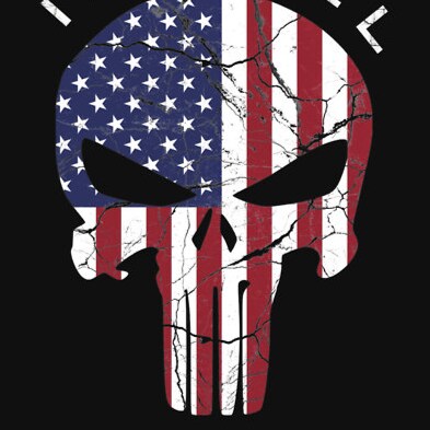 20+ yr Army Paratrooper. Swore an oath to defend the Constitution against all enemies, foreign and DOMESTIC. Still in af...