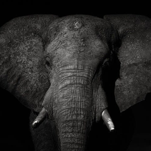 Thinker, rooted in reality, charity for all & malice toward none. I don't fit in a neat little box. My interests are var...