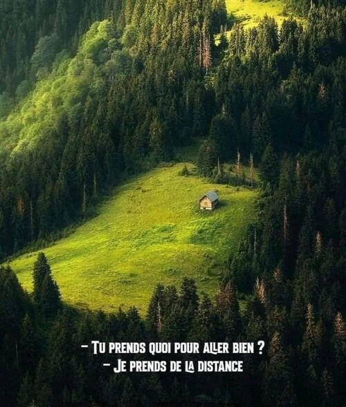 Commence par faire le nécessaire, puis fait ce qu'il est possible de faire et tu réaliseras l'imposs...