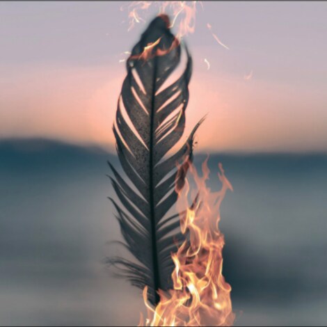 Coaches and Well-being Practitioners for health freedom & sovereignty