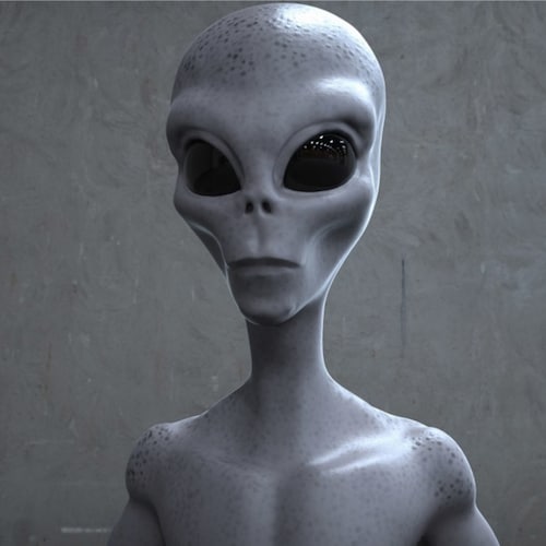 Autodidactic
Secular
Anthropologist
Anti-Woke
Anti-Globalist
Anti-Feminist
Anti-Disney
Anti-BLM / Marxist-Nigger...