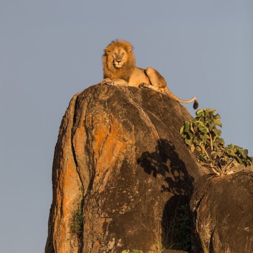 Joe Biden is illegitimate and a war criminal