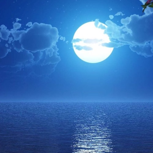 Visit brightmoontoday's profile on GETTR. View their posts, photos, videos, and connect with them on the social platform.