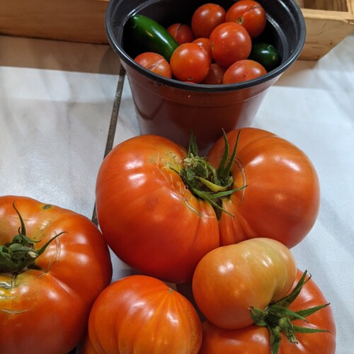 Twitter Exile/Amazon Apostate/Google Exposer/Facebook Flouter. Better For it. 11/08/16 inspires me.      11/03/20 disgus...