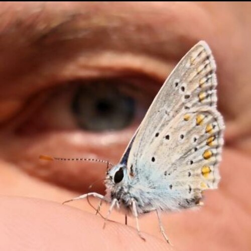 Visit craimer's profile on GETTR. View their posts, photos, videos, and connect with them on the social platform.