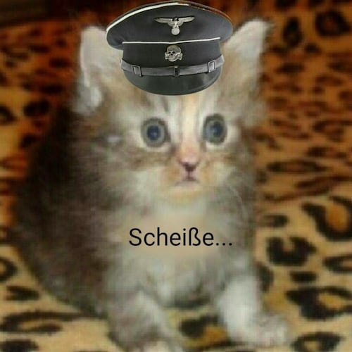 не понимает, что происходит