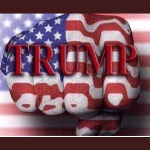 Roman Catholic Italian American  #ULTRAMAGA #AmericaFirst #TrumpWon #SaveAmerica #LetsGoBrandon #FJB #FauciIsALiar