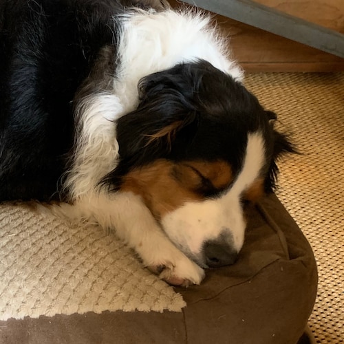 Visit bama1966's profile on GETTR. View their posts, photos, videos, and connect with them on the social platform.