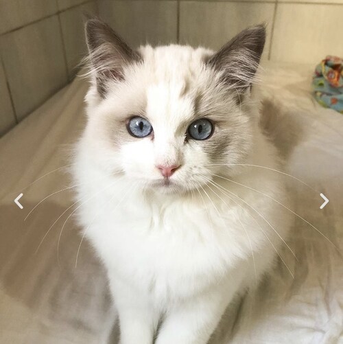 Visit celine29's profile on GETTR. View their posts, photos, videos, and connect with them on the social platform.