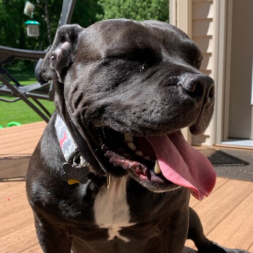 Father, Husband, Patriot, Lover of God!