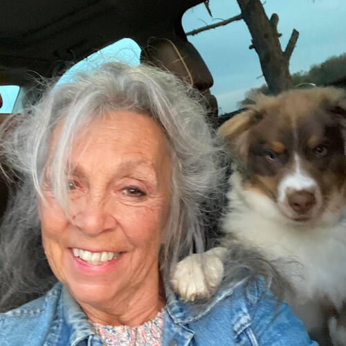 Horse, Dog, Smart Ass Whisperer.