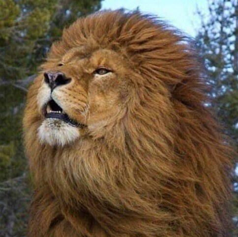  The Democrats had to cheat in Arizona otherwise the border would be closed down and we know they do...