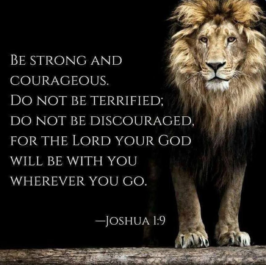 The Righteous shall be as bold as a lion.