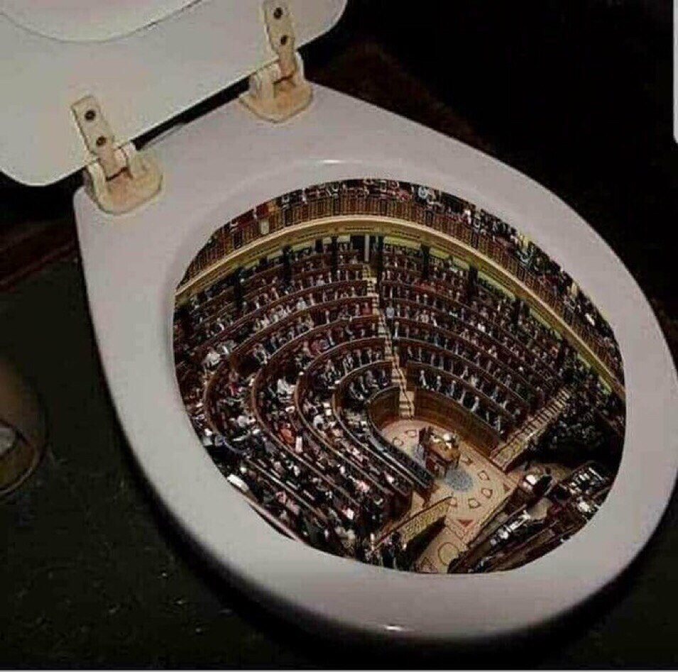 This is what I think of congress.