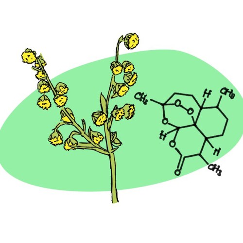 Unvaxxed fighter.

We get together for a free world! Artemisinin: a natural counterpart to COVID-19 Virus and Vaccine.