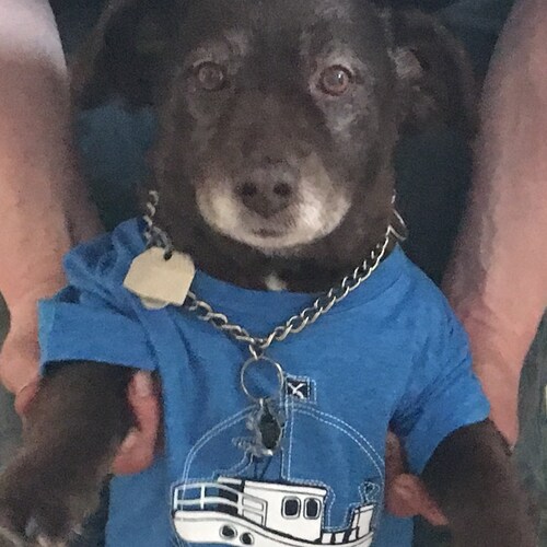 In search of  the truth !