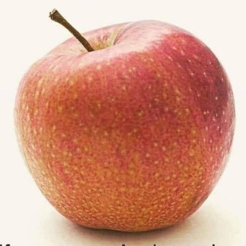 Visit TheWickedWon’tWin's profile on GETTR. View their posts, photos, videos, and connect with them on the social platform.