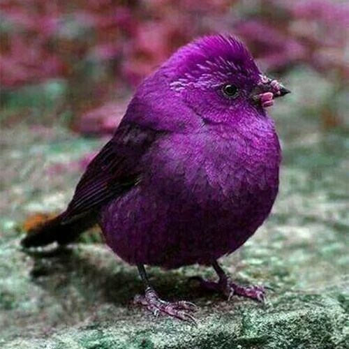 Visit Sharlett 🇨🇵 ✝️ن's profile on GETTR. View their posts, photos, videos, and connect with them on the social platform.