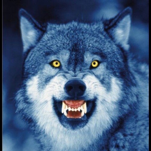 I am Glama, I am an actress, singer, poet, champion Fighter, hillbilly , just ask my grandchildren!