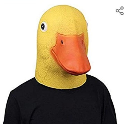 When do we reckon they'll let us follow more accounts again? I want to keep up.