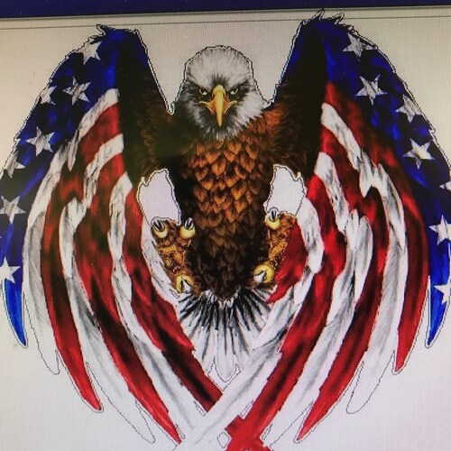 patriot🇺🇸🇺🇸🇺🇸#maga #americafirst #KAG #backtheblue, Michigan