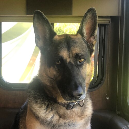 “Therefore take up the whole armor of God, that you may be able to withstand in the evil day, and having done all, to st...