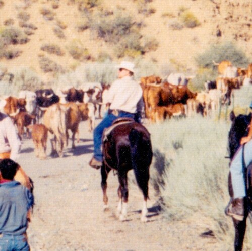 God, wife, family, country. Fast cars, fine horses, old pistols … oh, and more money! Registered Choctaw. Graduate Druck...