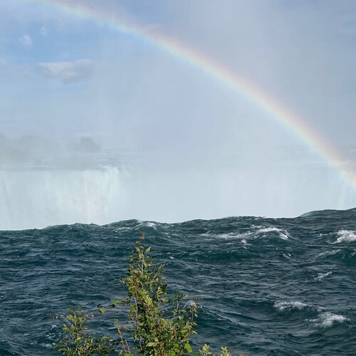 Discerner of info. Parent. Mental Health Supporter. ✝️🇨🇦