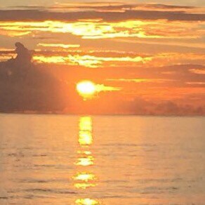 Proud American 🇺🇸 Born in Cuba 🇨🇺