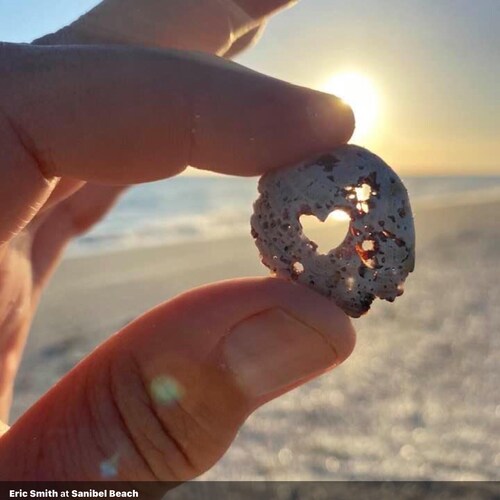 Love God and Country, Mom and Grandmother who knows 🍊🍊Trump is our President! 🇺🇸🇺🇸🇺🇸🇺🇸God Bless our Military �...