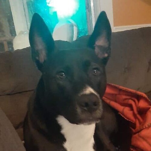 I’m very handsome and strong