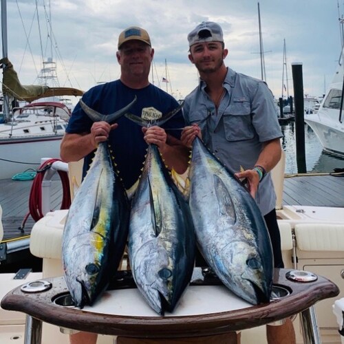 Husband, father, business owner and proud conservative 🇺🇸
Football dad #28 🔵🔴