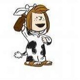 I am old enough to know better