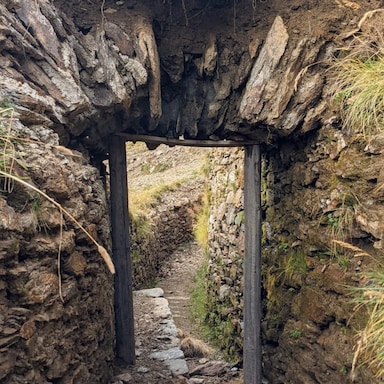 slinghook