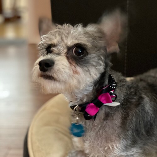 LOVER of FREEDOM 
Conservative MAGA