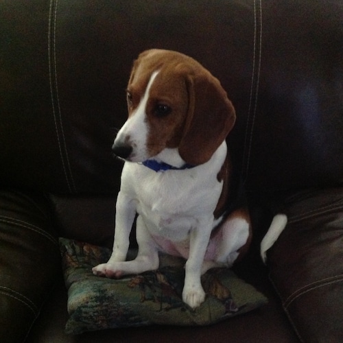 Visit lkwhit's profile on GETTR. View their posts, photos, videos, and connect with them on the social platform.