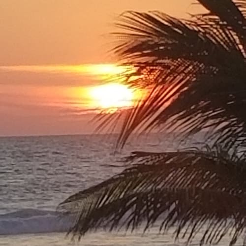 Politicians are all fucken liars and should be publicly flogged. Women must be equal, respected and cherished.
Go Bomber...