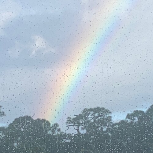 USA Patriot just left the blue state of CT. Happy to be free in my new home state of FL. America 🇺🇸 but WWG1WGA 🌍 Hold The Line 🍊🚚🚛🚜🍊🇺🇸