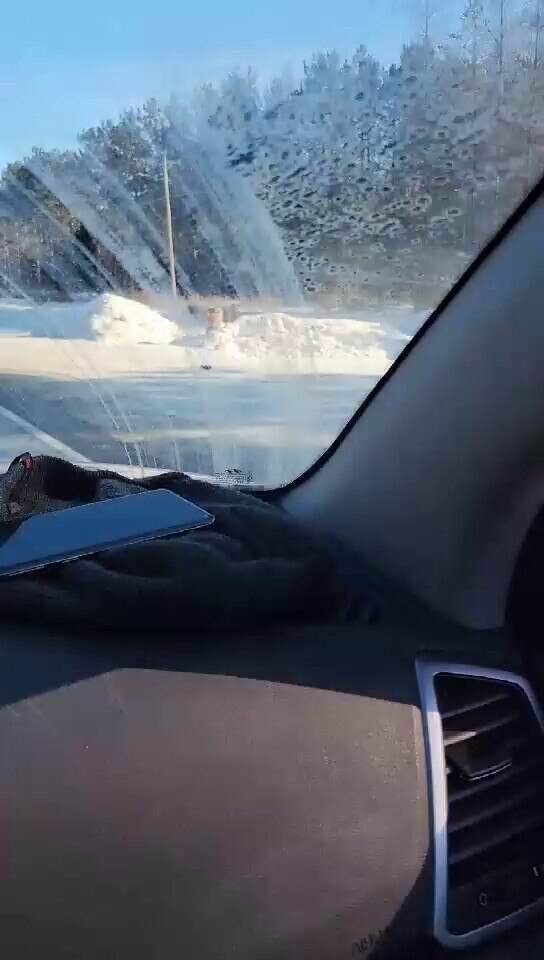 Freedom Convoy 2022
I have followed this convoy from Salmon Arm BC, it is growing every day!