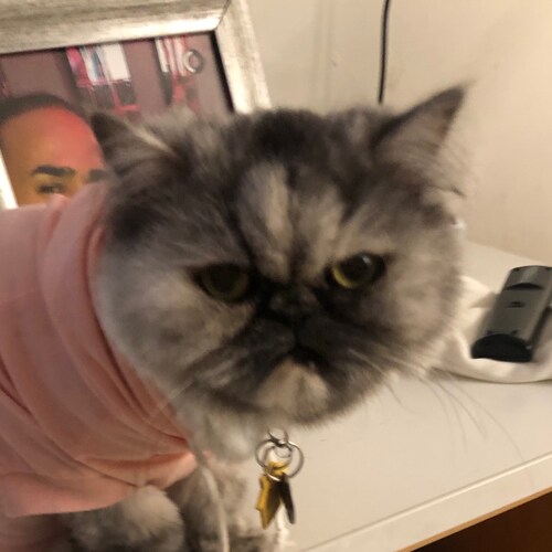 love travel, exercise, and food