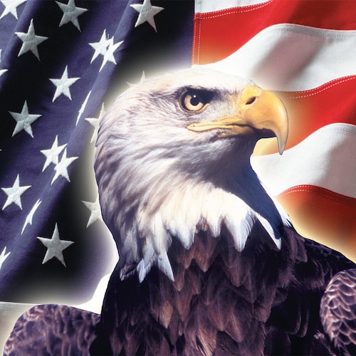 #TrumpWon 2020 🍊🍊🍊#Patriot #2A#1A #AmericaFirst, Constitutionalist, Nationalist, I only follow real Patriots, NO BOTs...