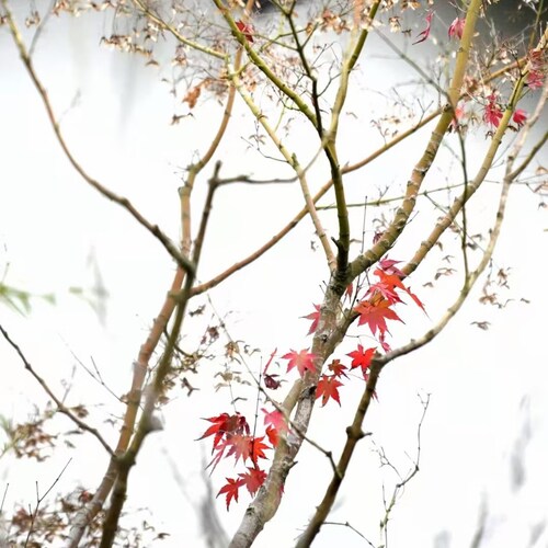 失去未必失去，得到未必得到！