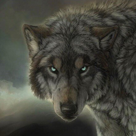 Digital Warrior; Commiefornia Refugee; Was proudly followed by General Flynn on Tweeter; WWG1WGA