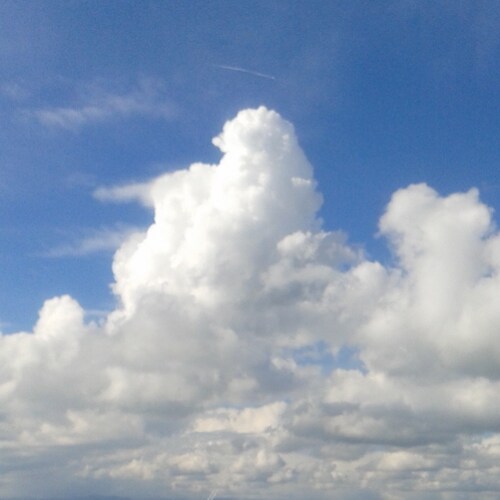 Visit AbbaGrl7's profile on GETTR. View their posts, photos, videos, and connect with them on the social platform.