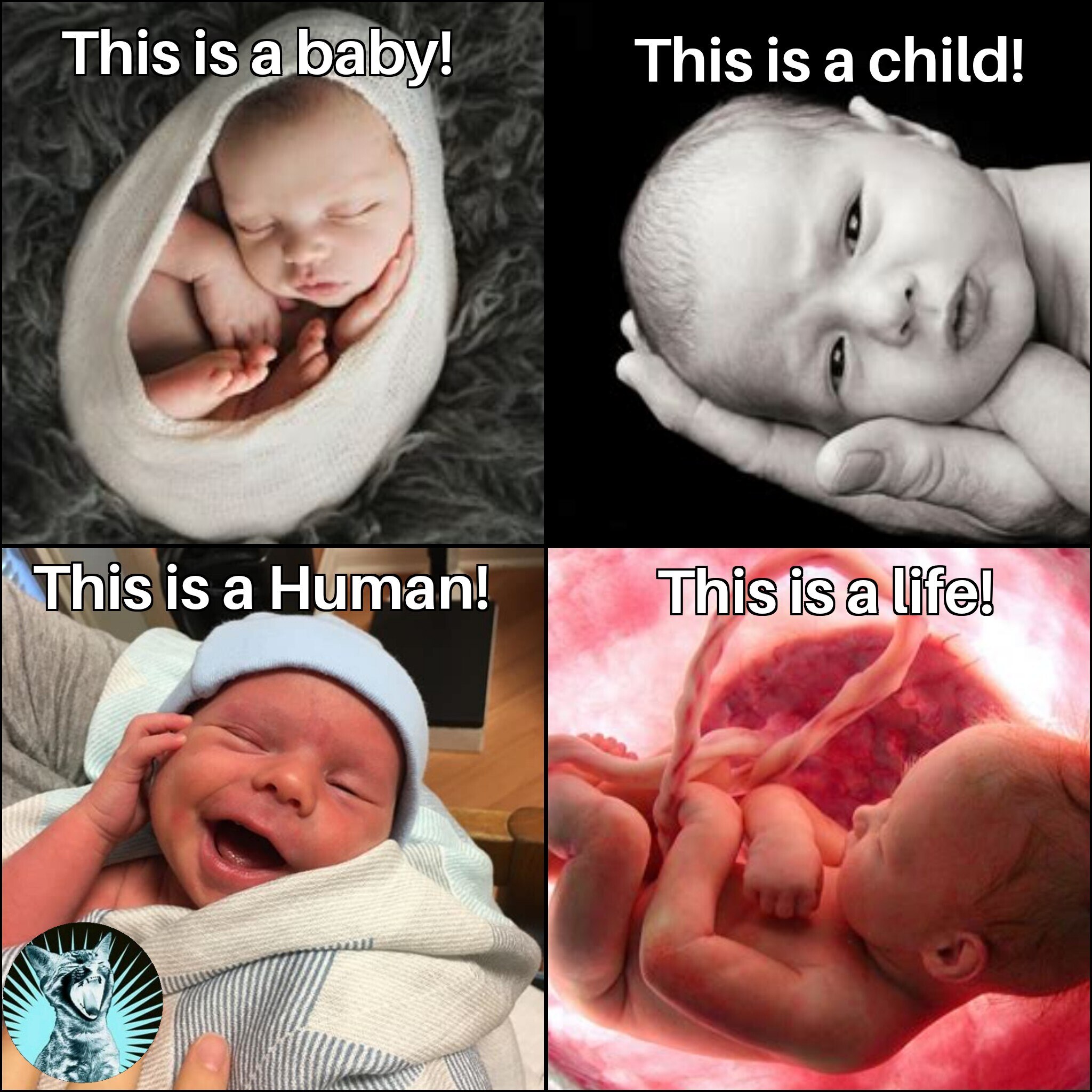 View Greatquake 💀's comment on GETTR. Join the discussion and share your thoughts.