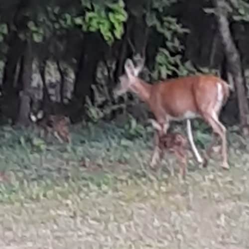 Better days ahead!!
Ultra Maga🍊🇺🇸